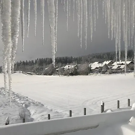 Apartment Ferienwohnung Mit Herrlicher Aussicht 